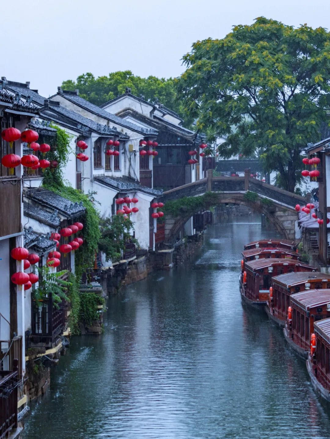 正规博彩十大网站排名